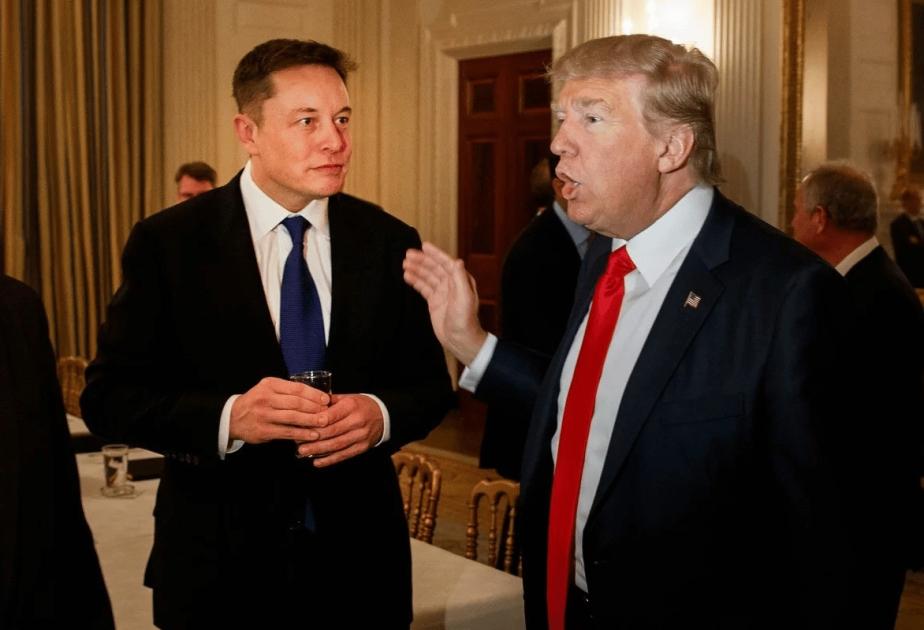 trump-musk