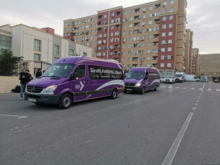 sarıcalı-koc